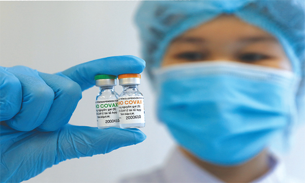 Nghiên cứu trong y học: Cá ngược dòng tìm  vũ môn nơi đầu suối